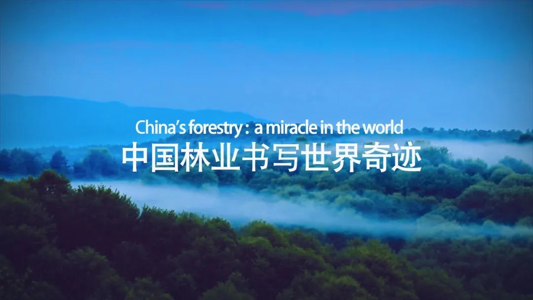 多项世界第一，中国林业当仁不让(图1)