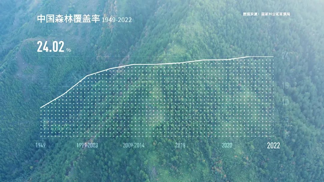 多项世界第一，中国林业当仁不让(图3)