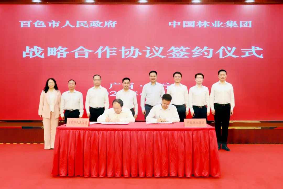 中林集团与广西百色市人民政府签署战略合作协议(图1)